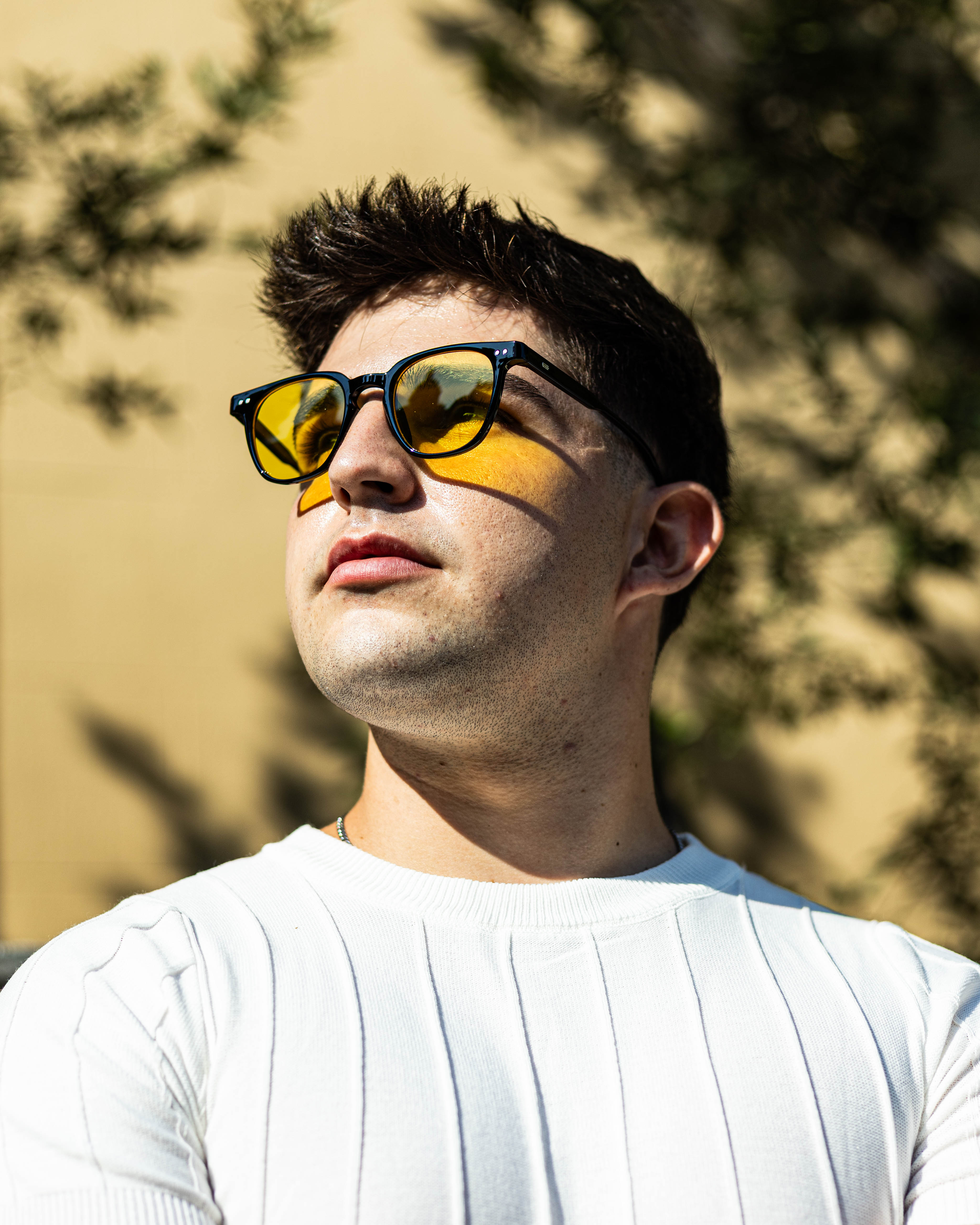 Lentes Carey Clásico