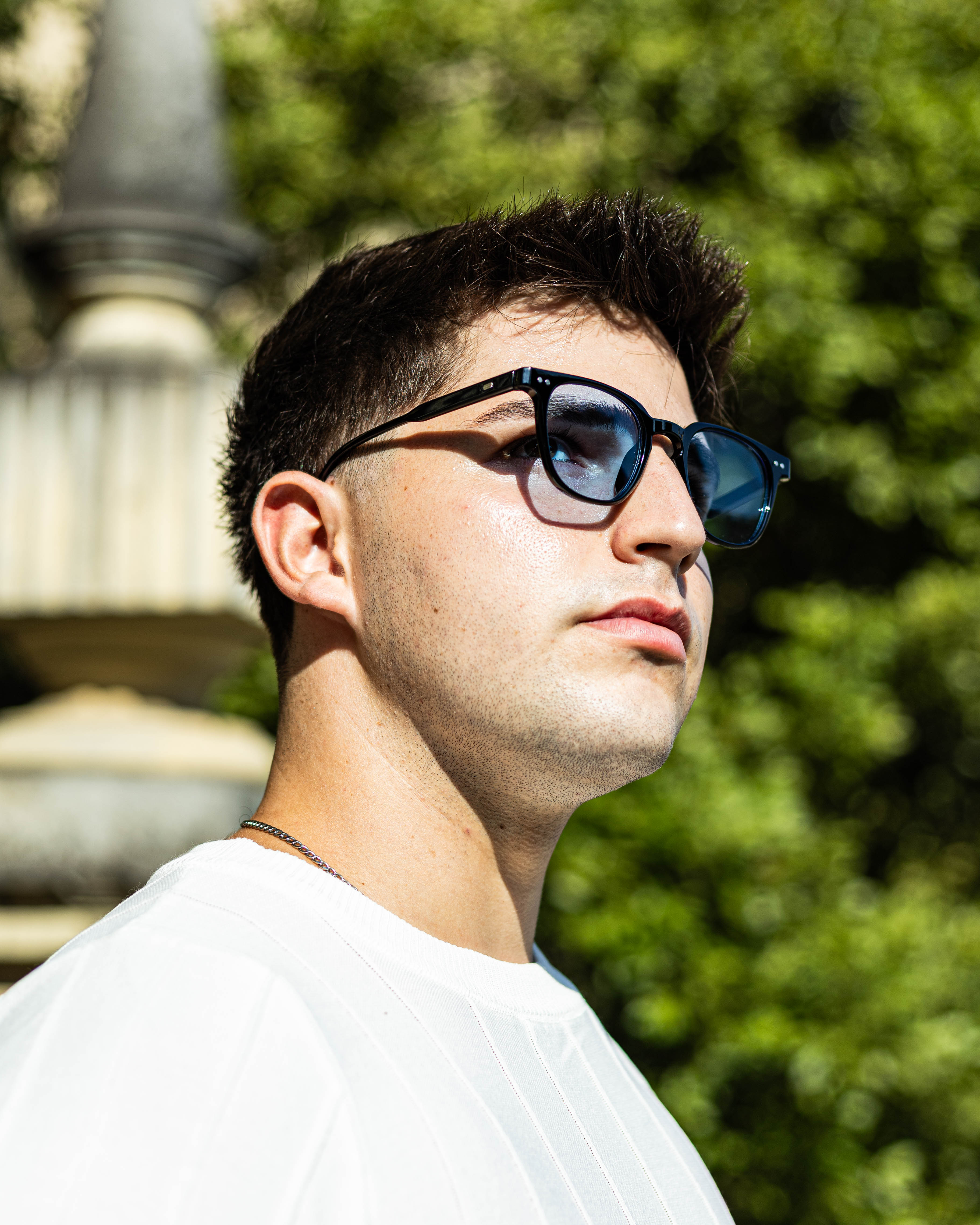 Lentes Carey Clásico