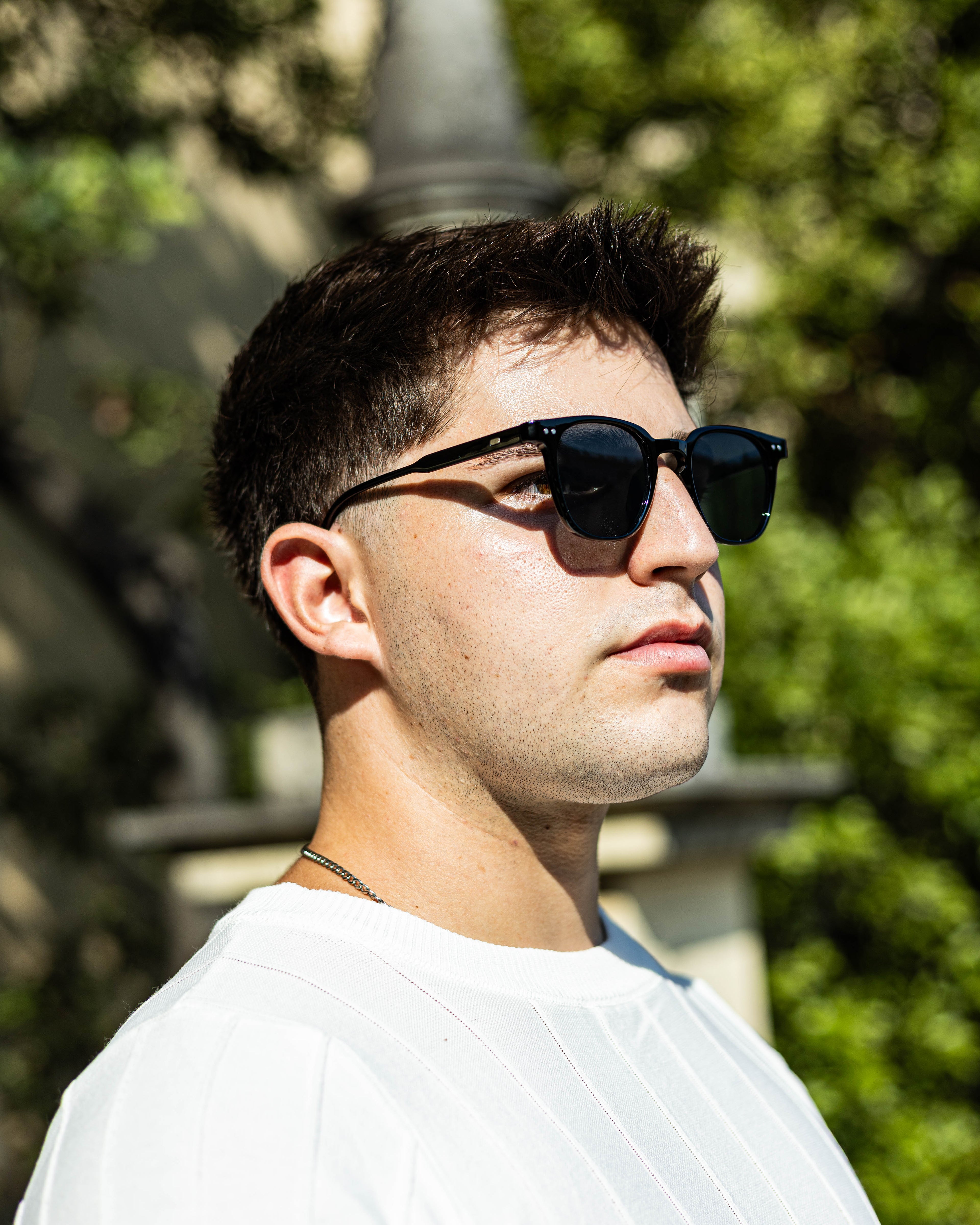 Lentes Carey Clásico